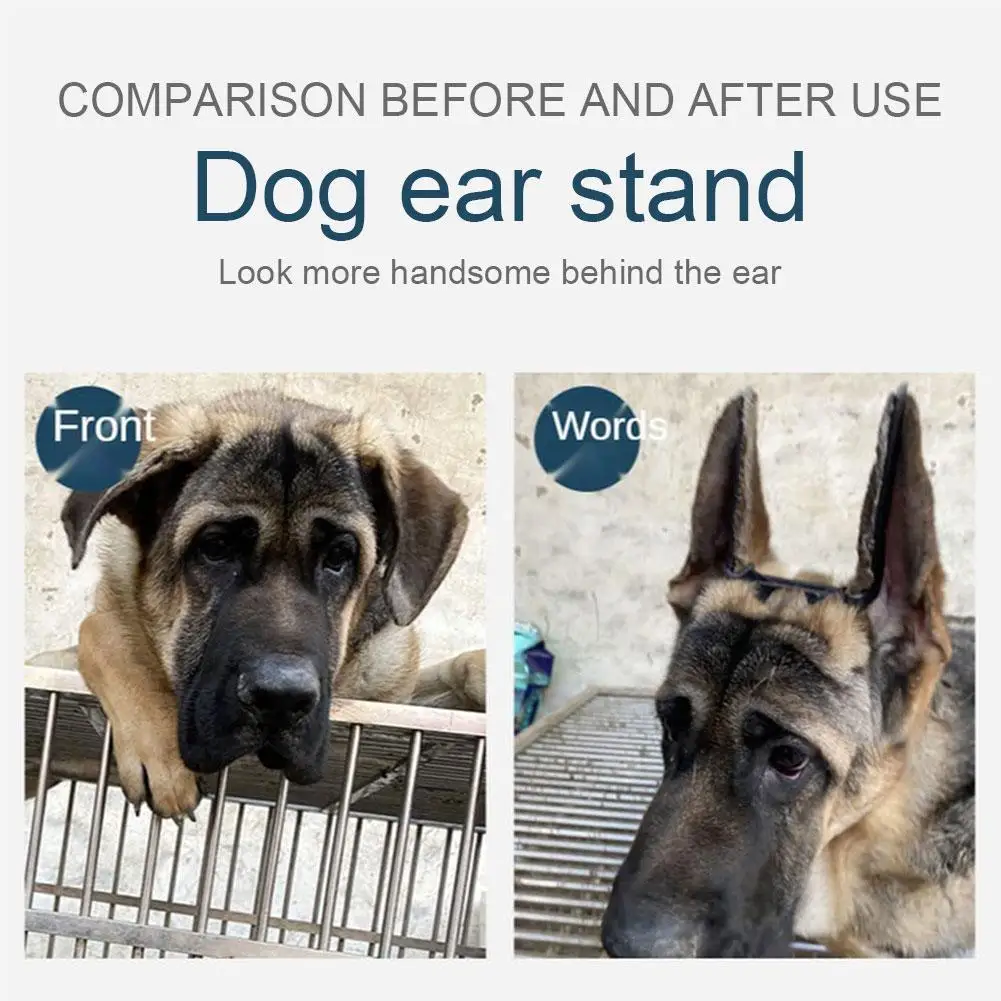 Doberman Ear Stand Support Tool  Ear Correction Tool Assist Adjustable Dog Ear Stand Dog Accessories Pet Supplies