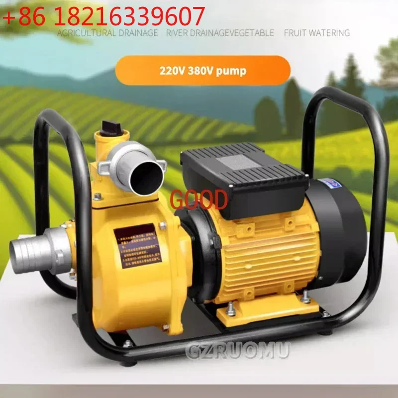 Bomba de agua de alto flujo TAO para riego agrícola, máquina de bombeo doméstica de alta elevación, bomba de agua autocebante de 220V