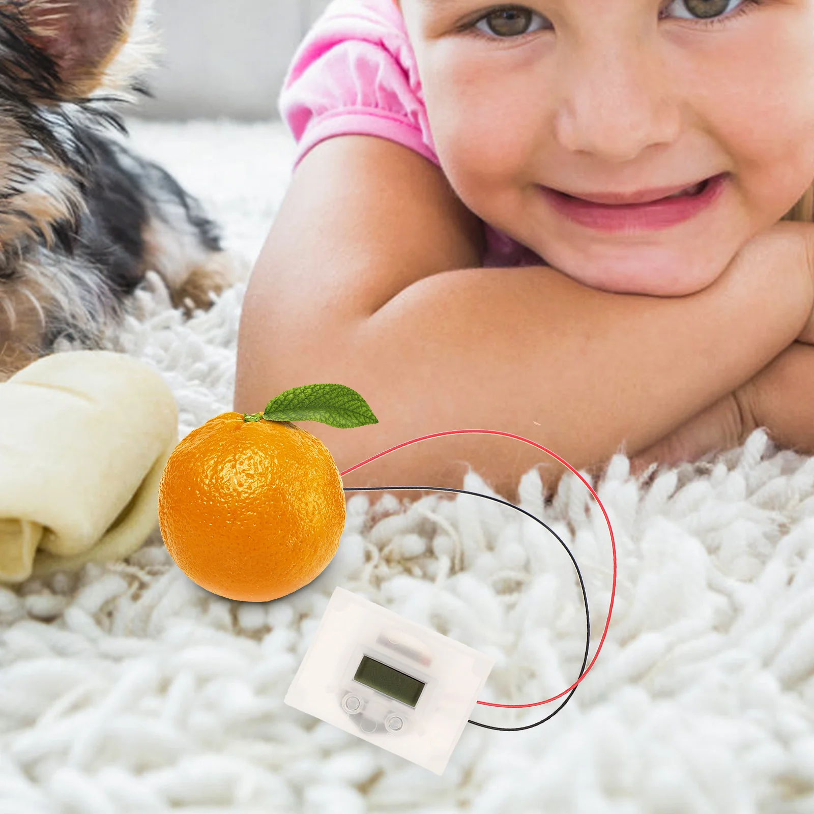 1 Set Fruit Experiment Kit Diy Science For Kids Educational Physics Learning Tool Student Supply Electronic Clock Demo