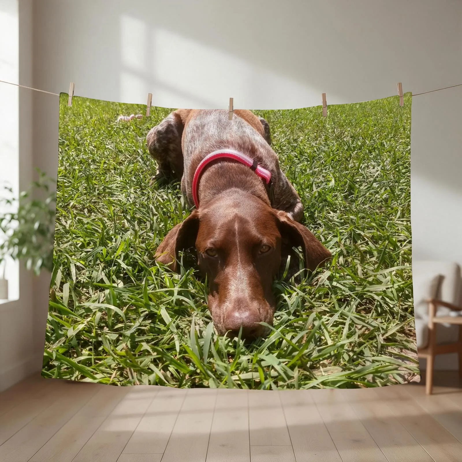 New Summer Days with a Sharp-eyed Companion: A German Shorthair Pointer on the Hunt Throw Blanket