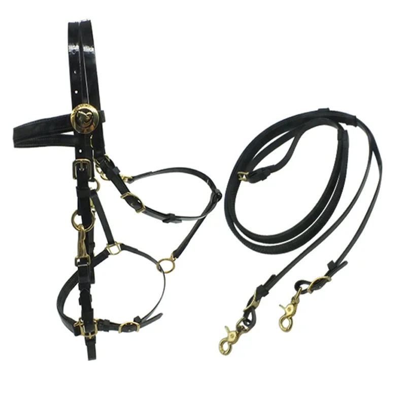 Endurance Horse Race Halter Nylon Material in Australian Style Durable and Reliable for Long Distance Competitions