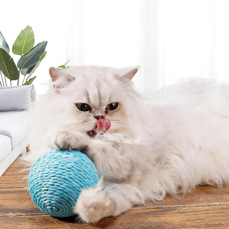 8CM Interaktiver Sisal-Katzenkratzball, supergroßes Anti-Biss-Kauspielzeug mit Sound für Kätzchen, Haustierbedarf – Detail 3
