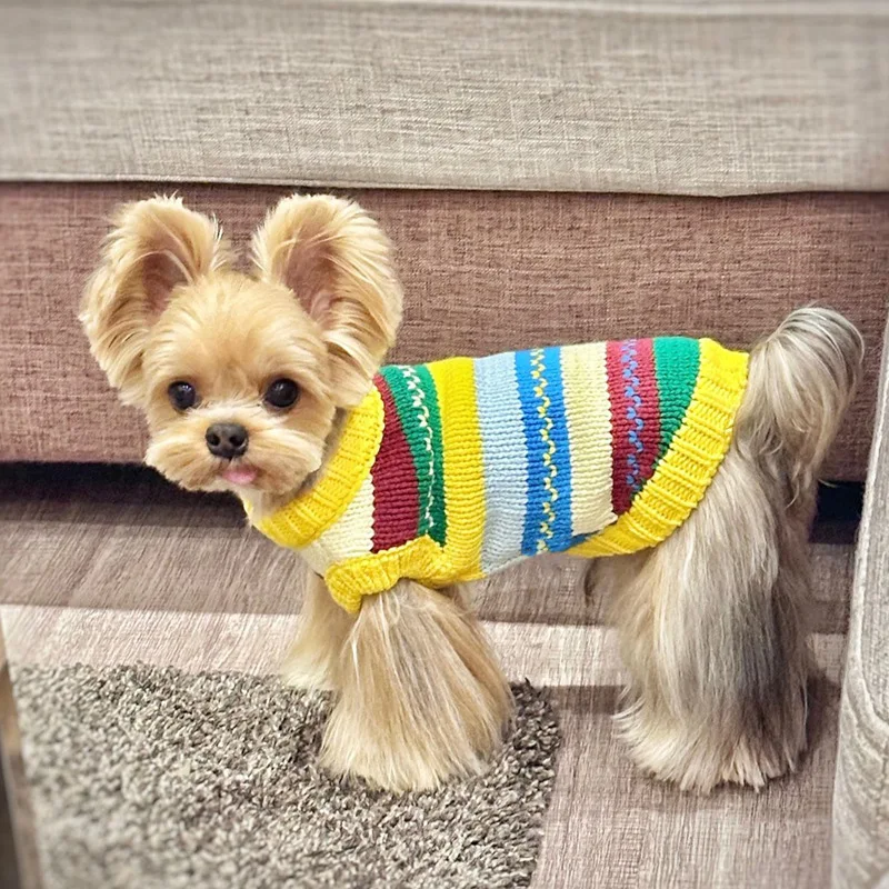 Suéter clásico de punto a rayas para perros, suave y cálido para cachorros pequeños, este invierno para Navidad, disfraz para perros, ropa para mascotas