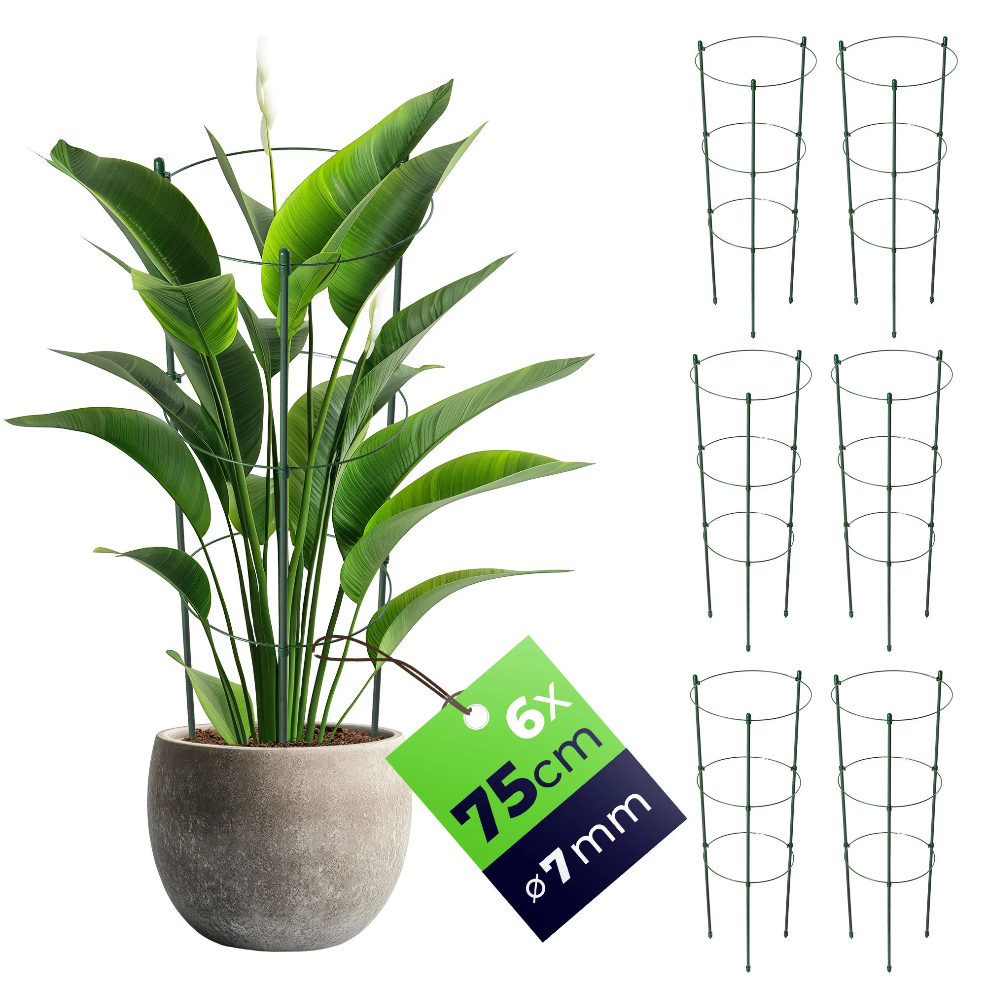 Ringvormige plantensteun voor bloemen, 75 cm, metalen steunringen, 6 stuks.