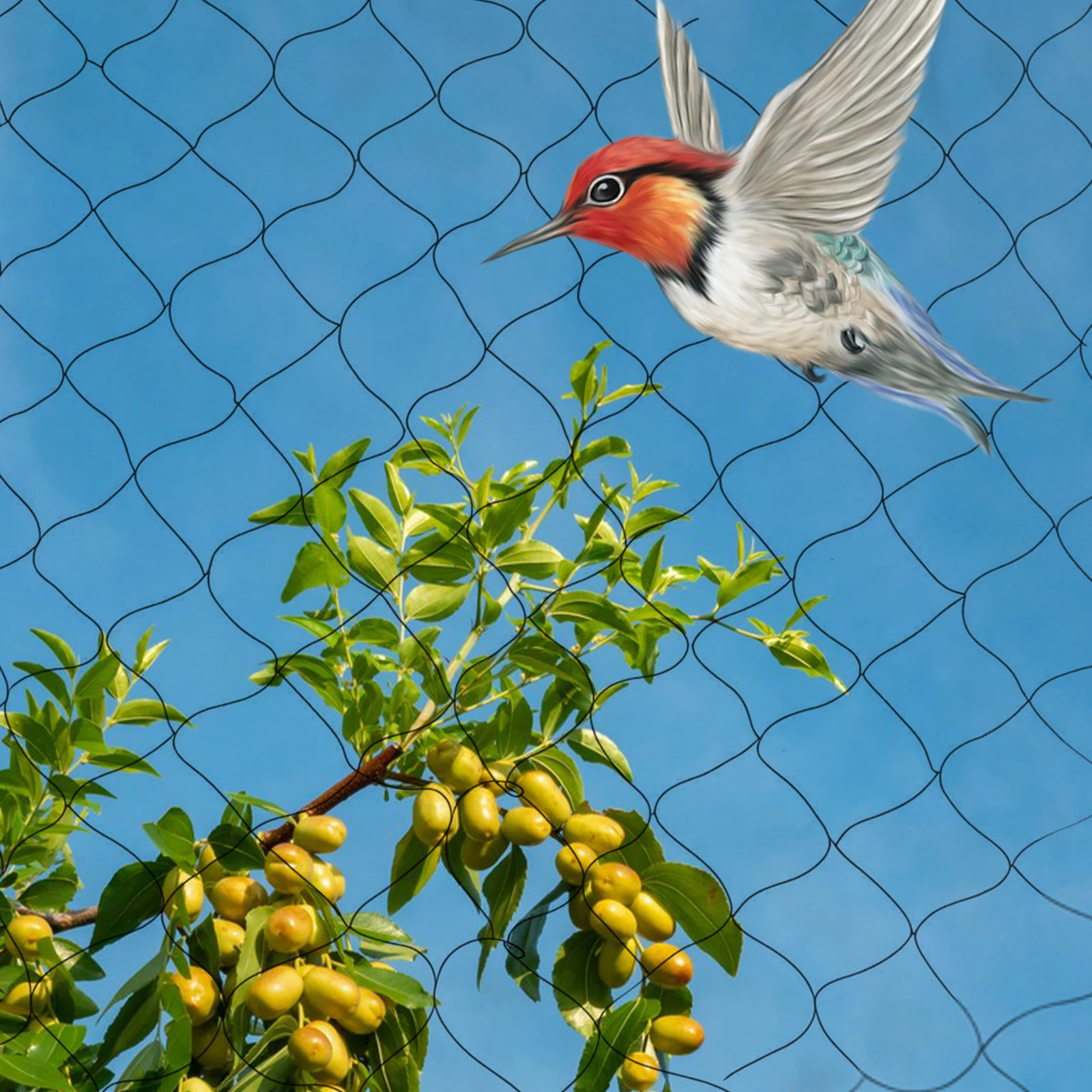 

Orchard Bird Barrier Net UV-Resistant High Tensile Strength Large Size Cuttable Mesh Reusable For Fruit Tree Shrub Protection