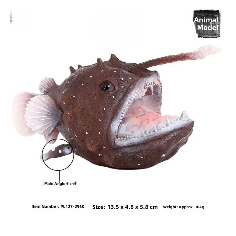 Early Eon Cognitive…