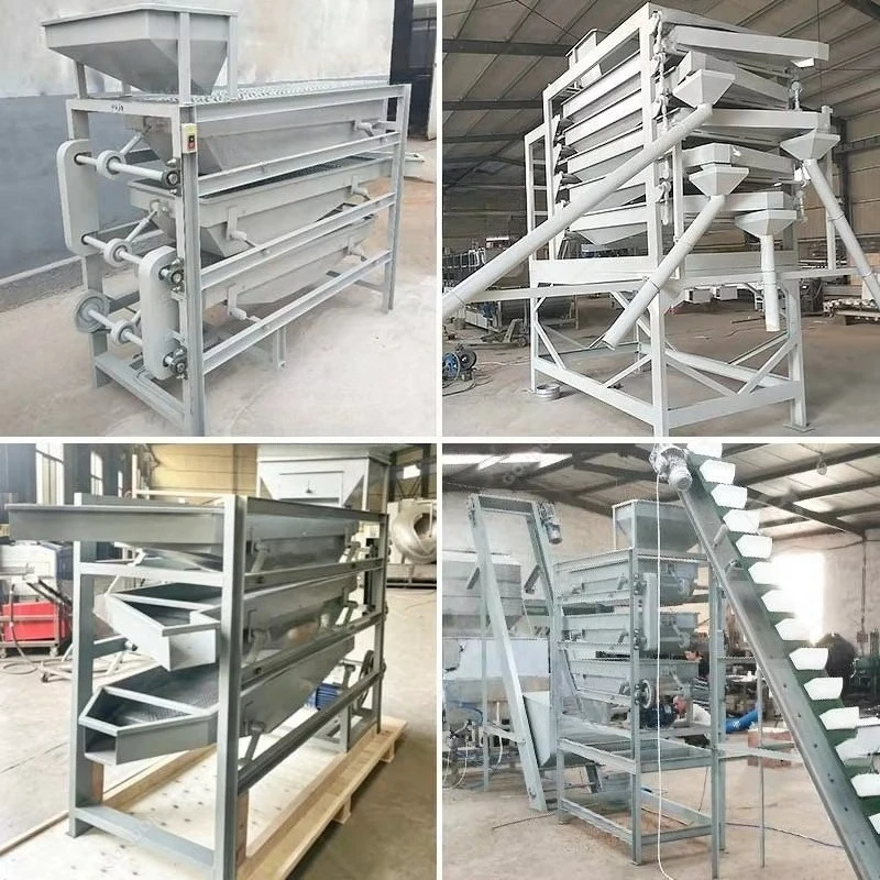 Automatic Nut Size Grader Price Cracking Processing Line Shell Breaker Small Almond Grading Machine and Peanut in Low