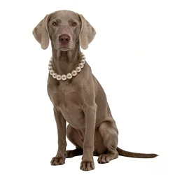 Collari di perle per cani di taglia grande gatti collana per animali domestici gioielli Chihuahua Yorkie Girl abbigliamento vestito accessori per costumi corda metallica