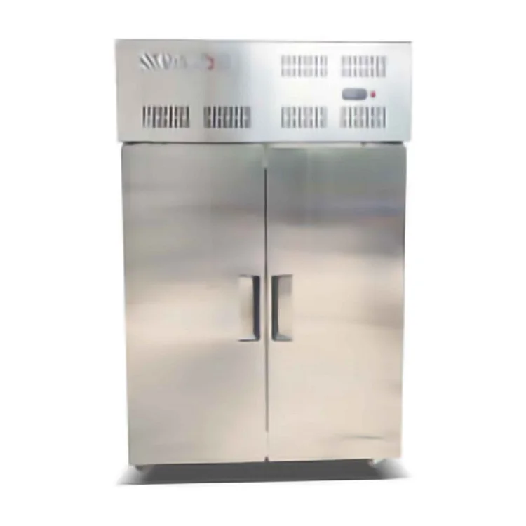 Custom Nitrogen Freezing Machine Upright Blast Freezer Cabinet Commercial Grade for Frozen Food Storage Energy Saving