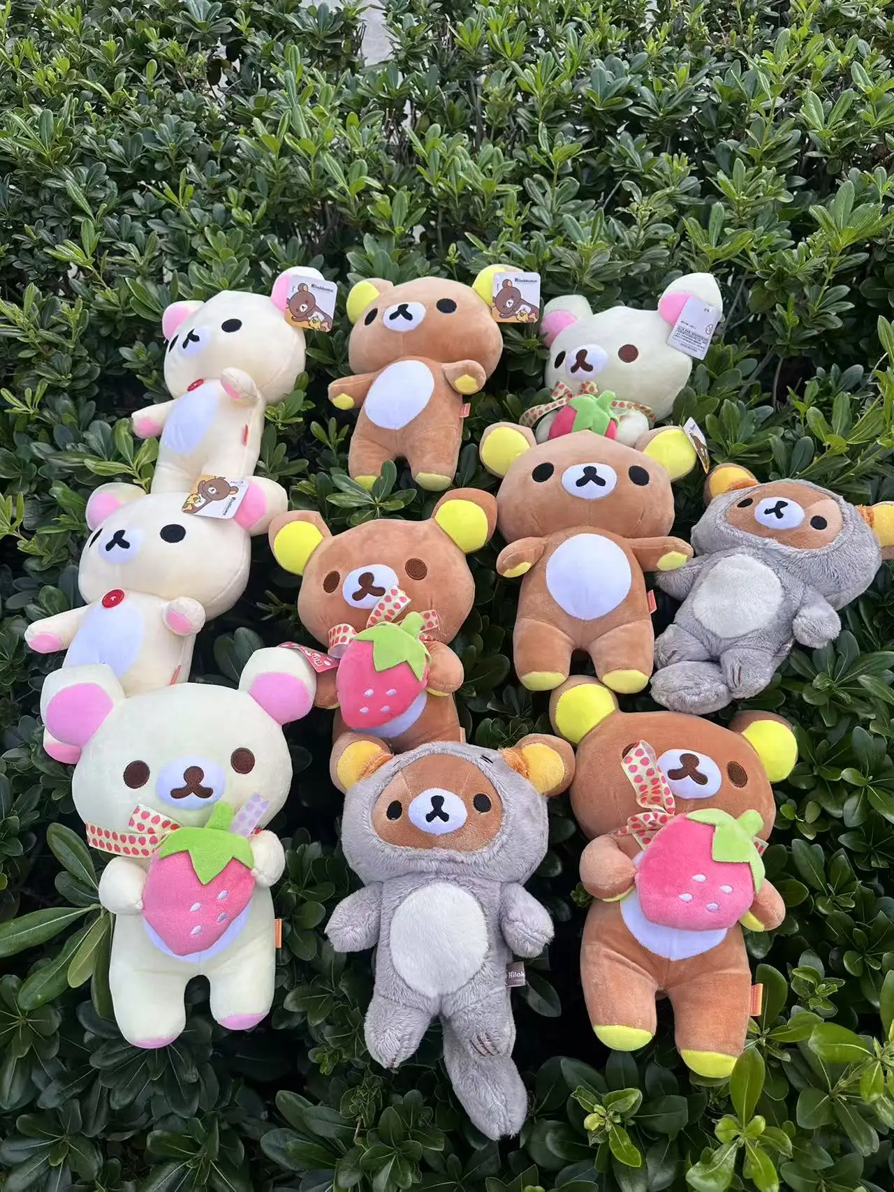 80CM Rilakkuma Plush Toy Teddy Bear Stuffed Animal Cartoon Pillow Kawaii Room Decor Cushion Children's Birthday Gifts Hobbies