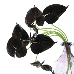 1 PCS 65cm High Quality Artificial PU Anthurium Flower Home Decor Wedding Table Room Decoration Gift F1005