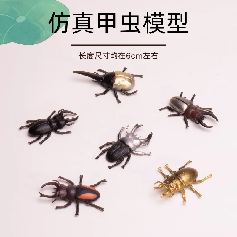 Simulation Beetle Series Animal Toys Realistic Cognitive Learning Models Floating Beetle Toy 6pc/lot