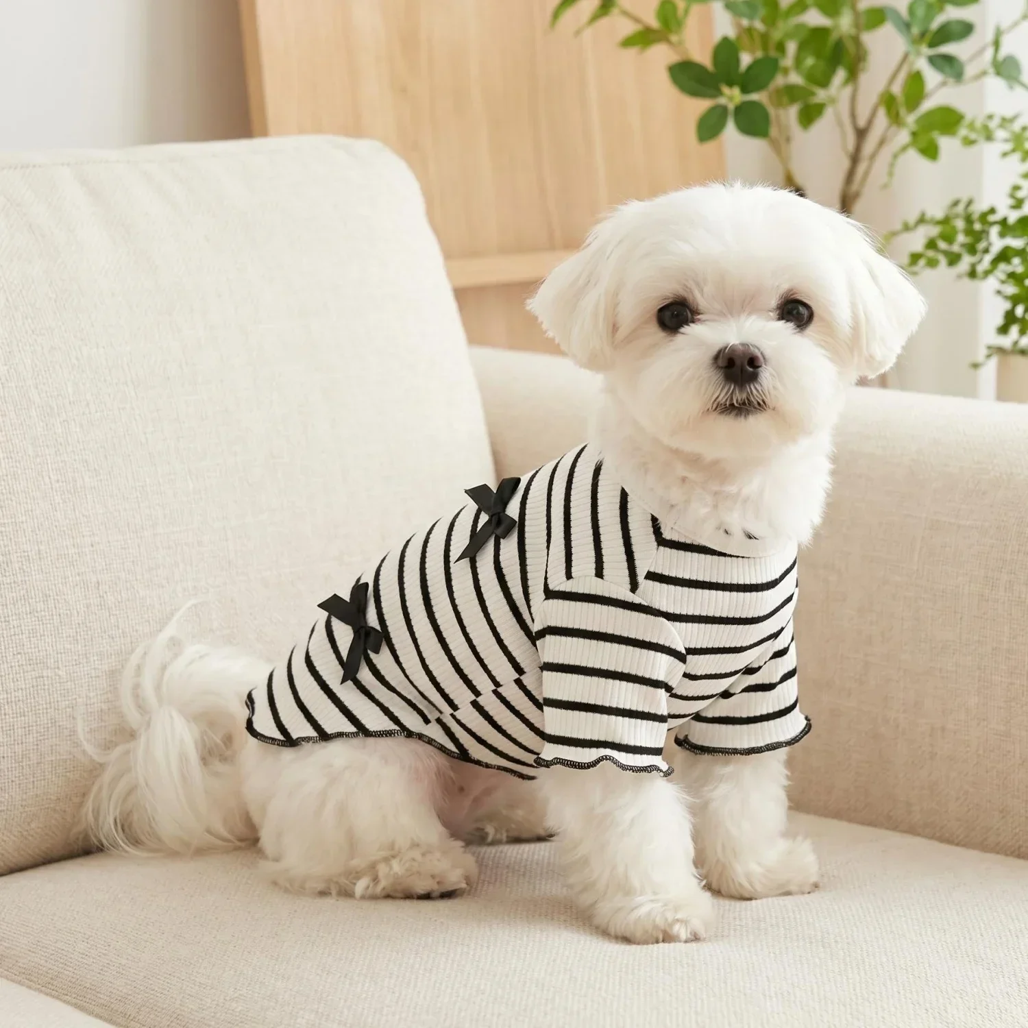 1 Stück Niedliches Hundeshirt mit Schleifendekoration, Gestreift, Weich, Dehnbar, Gerippt, Katzen-T-Shirt, Frühling Sommer Atmungsaktive Haustierkleidung – Detail 12