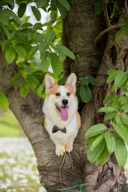 

2Pcs Car Rearview Mirror Rain Eyebrow Rain Shield Snow Guard Sun Visor Auto Rear View Shade Protector Rainproof Blades Sticker