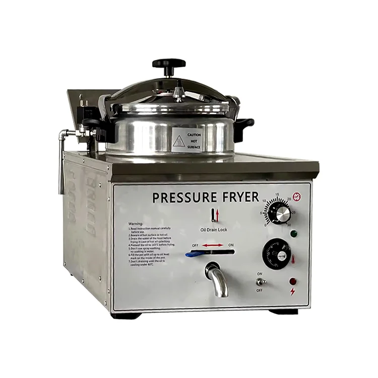 

Commercial Electric Stainless Steel Pressure Fryer 16L Countertop Chicken Fryer 3kW Multi-Voltage Small Deep Fryer Machine for