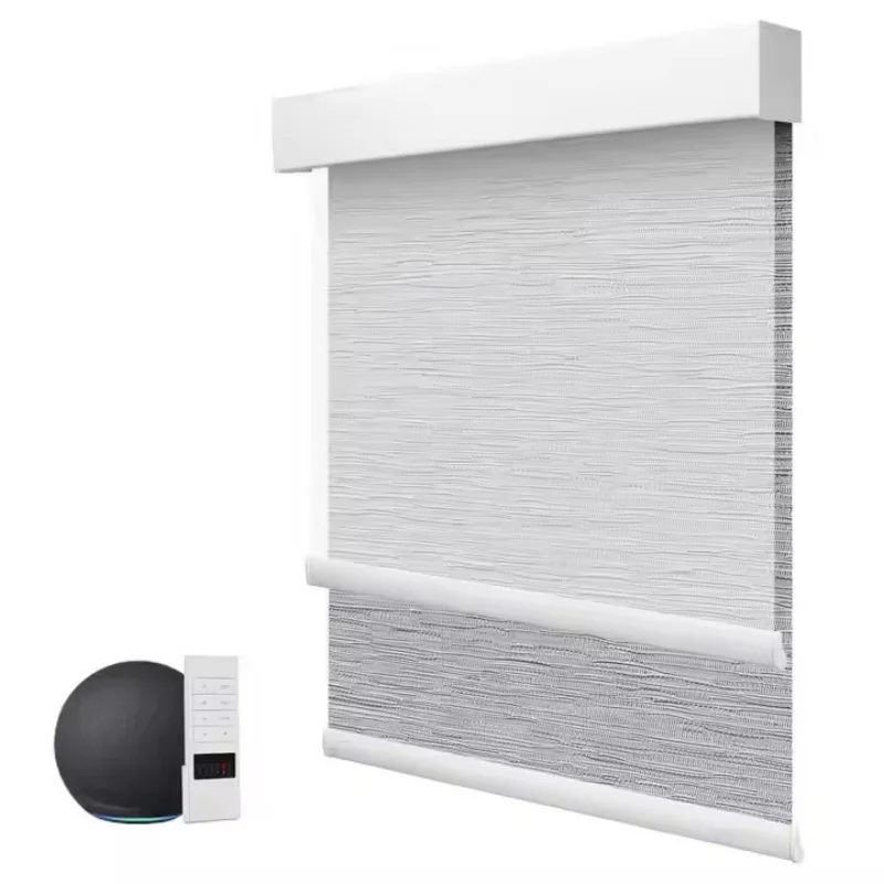 Factory Supply Square Cover Waterproof Fabric Rechargeable Motor Connect Phone Alexa Motorized Dual Roller Blind For Windows