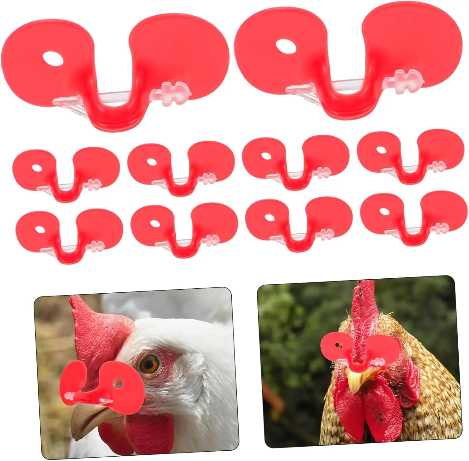 5/10/20/50 pces anti-frango pecking óculos m/l vermelho faisão óculos de plástico parafuso-livre aves anti-frango pavimentando óculos
