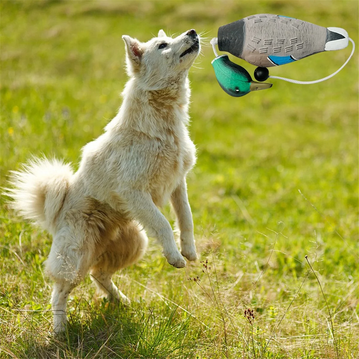 BOFOF Dead Duck Dummy Bumper Floating Mimics Dead Duck Bumper Duck Dummy Bumper for Outdoor Training Waterfowl Retriever