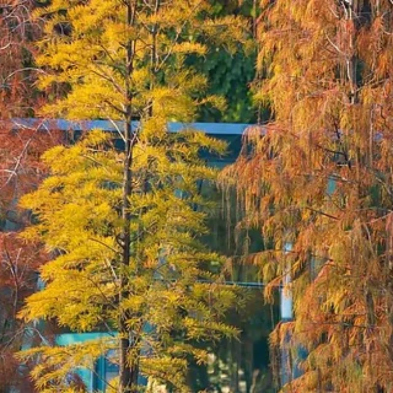 

iFlight BLITZ Mini F7 E55R Stack with BLITZ Mini F7 V1.2 Flight Controller / BLITZ E55R 4-IN-1 2-6S ESC for for RC FPV Drone