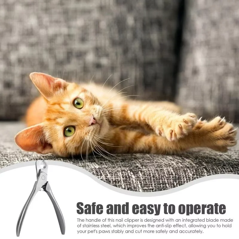 Thumbnail 4 - #38 Cat Grooming Comparison Guide