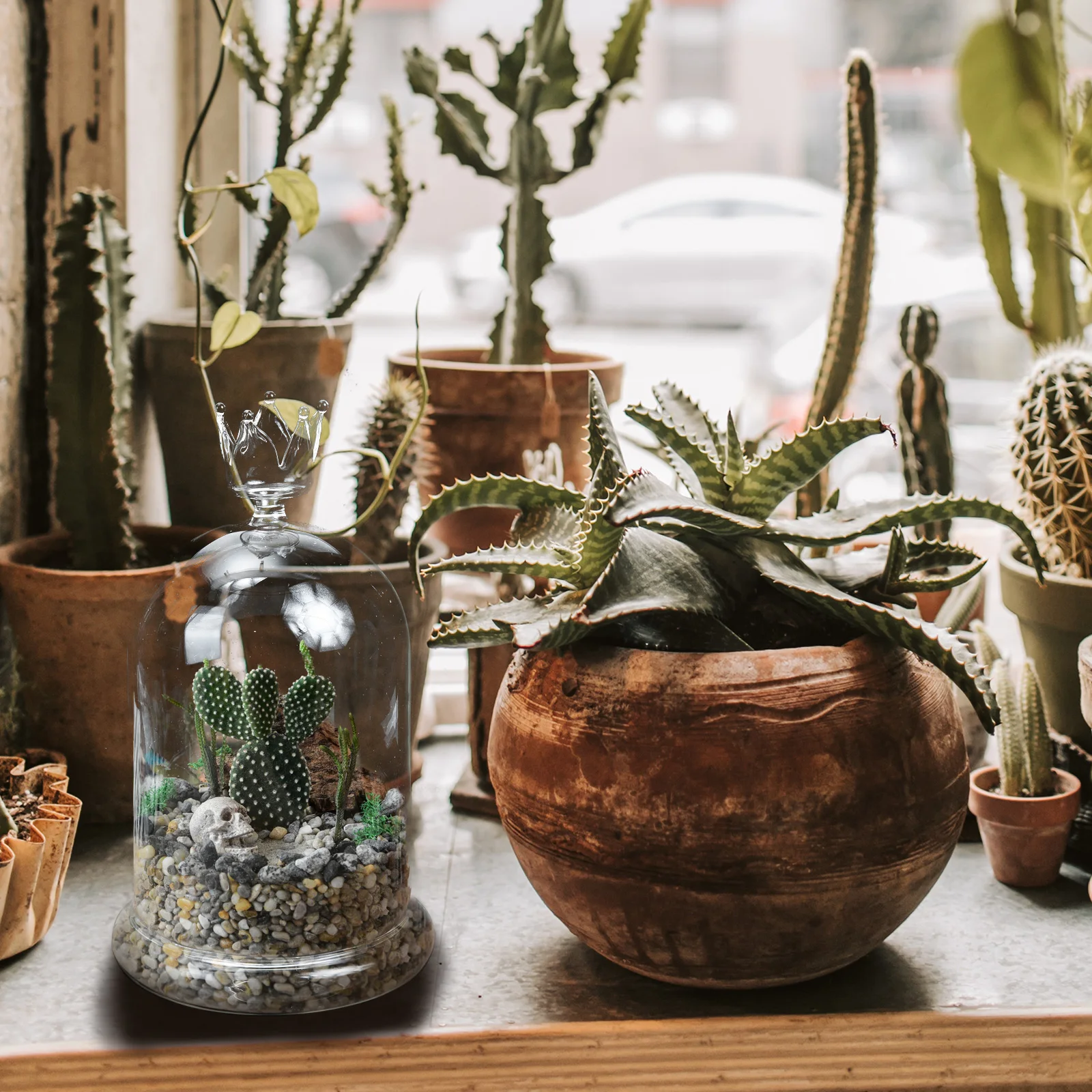 

Preserved Fresh Flowers Glass Cover Delicate Glass Dome Base Creative Design Stable Flat Bottom Compact Size Desktop Decor