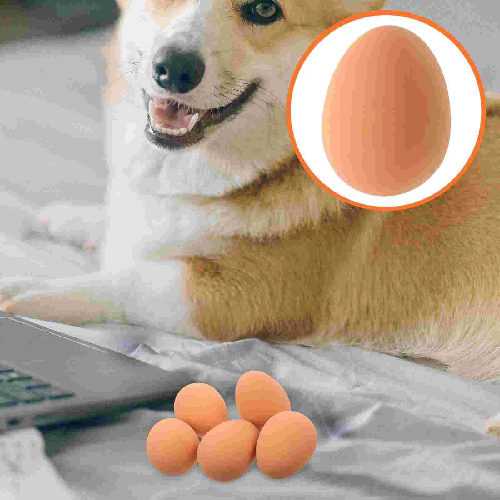 5pcs Interactive Dog Egg Toy Bouncy Egg Toy for Small Dogs Puppies Durable Rubber Material Indoor Outdoor Play