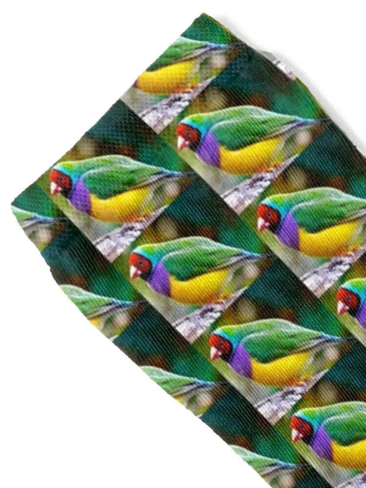 Australian Gouldian Finch; an Endangered Species Socks winter gifts Novelties winter thermal japanese fashion Socks Men Women's