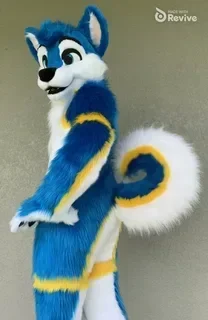 

Husky Fursuit Blue Yellow White Fox Dog Mascot Costume for Party Animal Fancy Dress Advertising Parade Halloween Suits