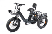 PULUMA SL001 Electric Tricycle 48V27AH Lithium Dual Battery 500W Dual Motor Electric Bike Max Range 80km Hydraulic Disc Brake