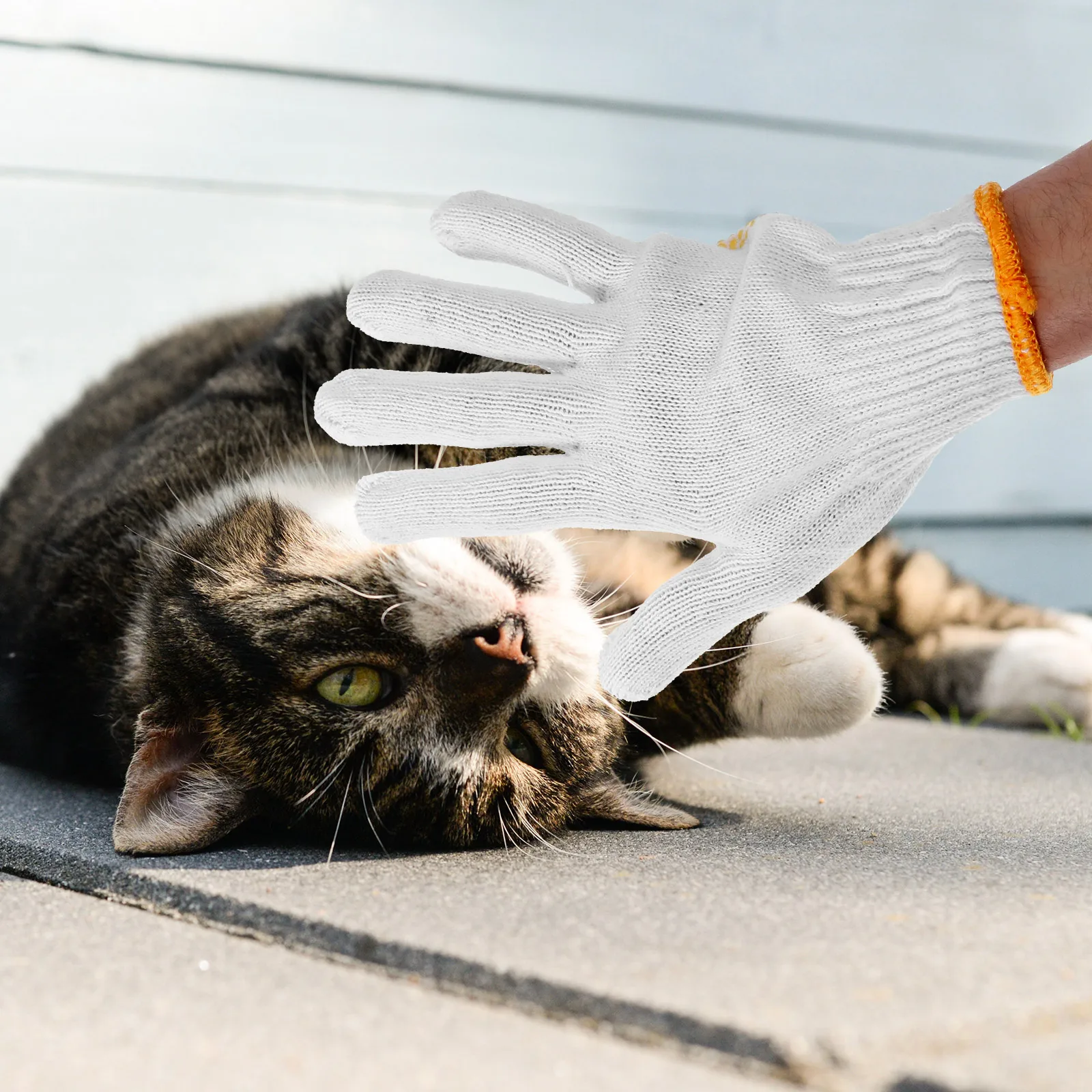 

Anti bite Anti Bite Glove for Pet Owners Thickened Breathable Material Bite Scratch Protection Animal Handling
