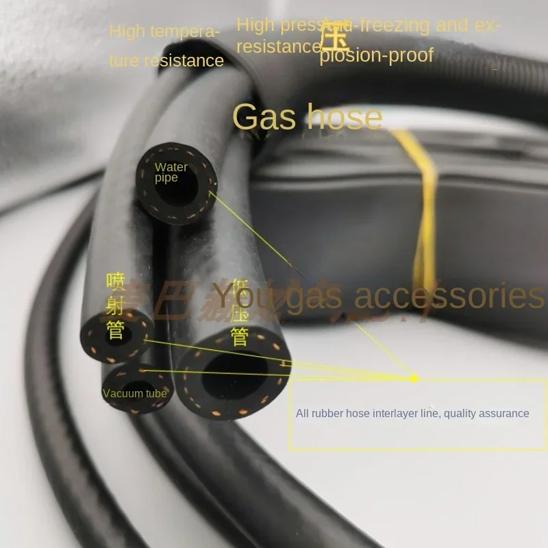 

Automobile Natural Gas Modification Accessories Dual Fuel Special Kit AC300 System Multi-Point Direct Injection Modification
