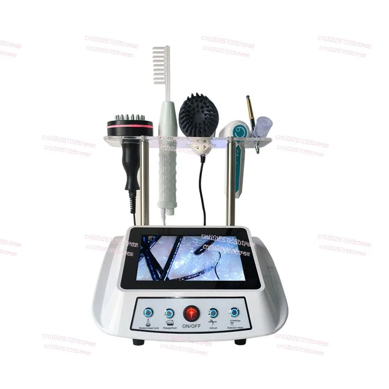 

Head massage equipment, scalp care, head therapy equipment, fumigation equipment, beauty and hairdressing tools and equipment