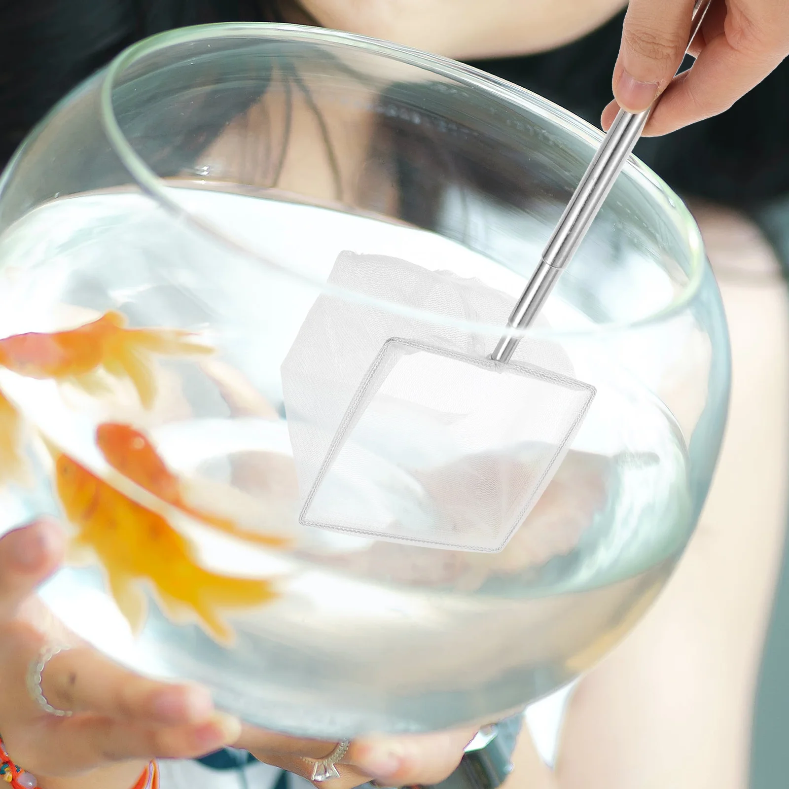 

Stainless Steel Fishing Telescopic Handle Foldable Fine Mesh Portable Pond Dipping Aquarium Skimmer Freshwater Saltwater