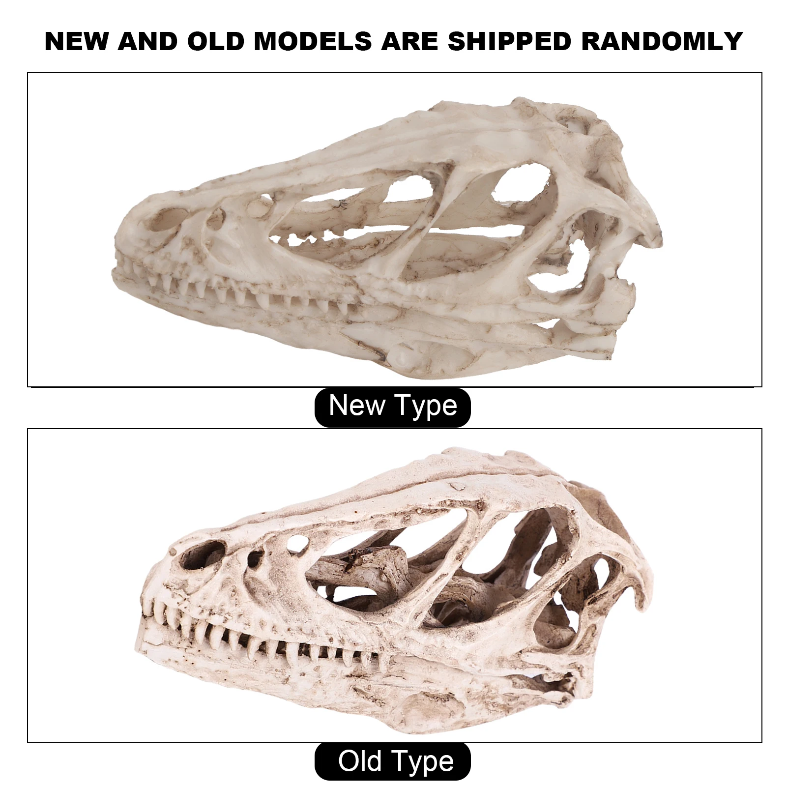 Resin Dinosaur Skull Model Simulated Animal Skeleton Home Office Decor Craft Teaching Prop