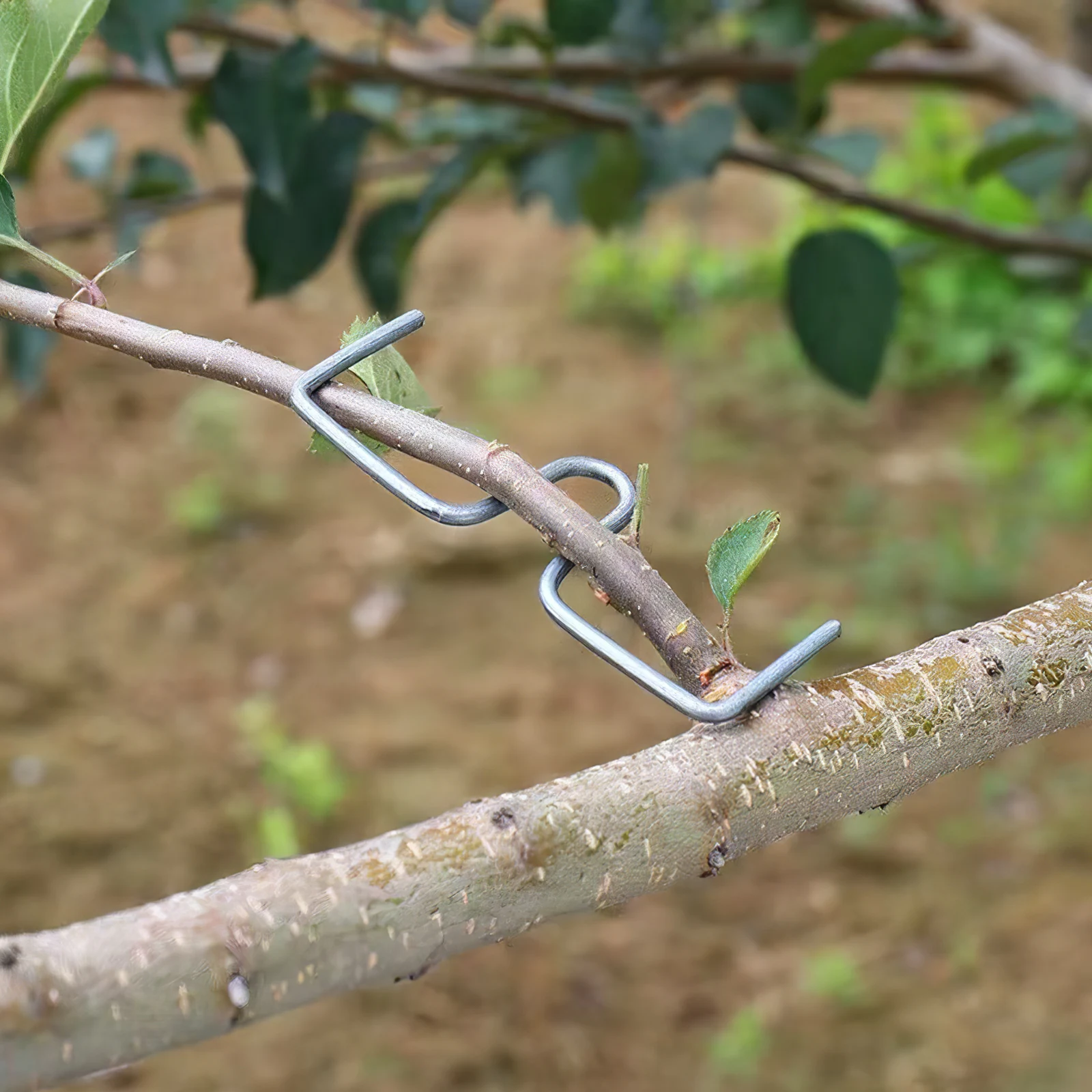 

Tree Branch Support Fruit Shaper Branches Moderator Bender Spreaders Plant