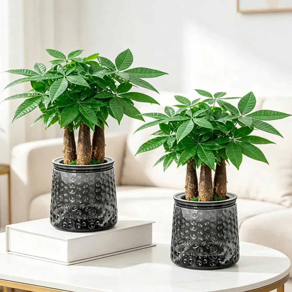 Small Indoor Foliage Planters Self-watering Planter Pot with Thick Transparent Design Embossed Decorative Indoor Flower Pot
