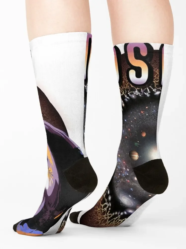 COSMOS and Carl Sagan Socks christmas stocking men cotton high quality Designer Man Socks Women\'s