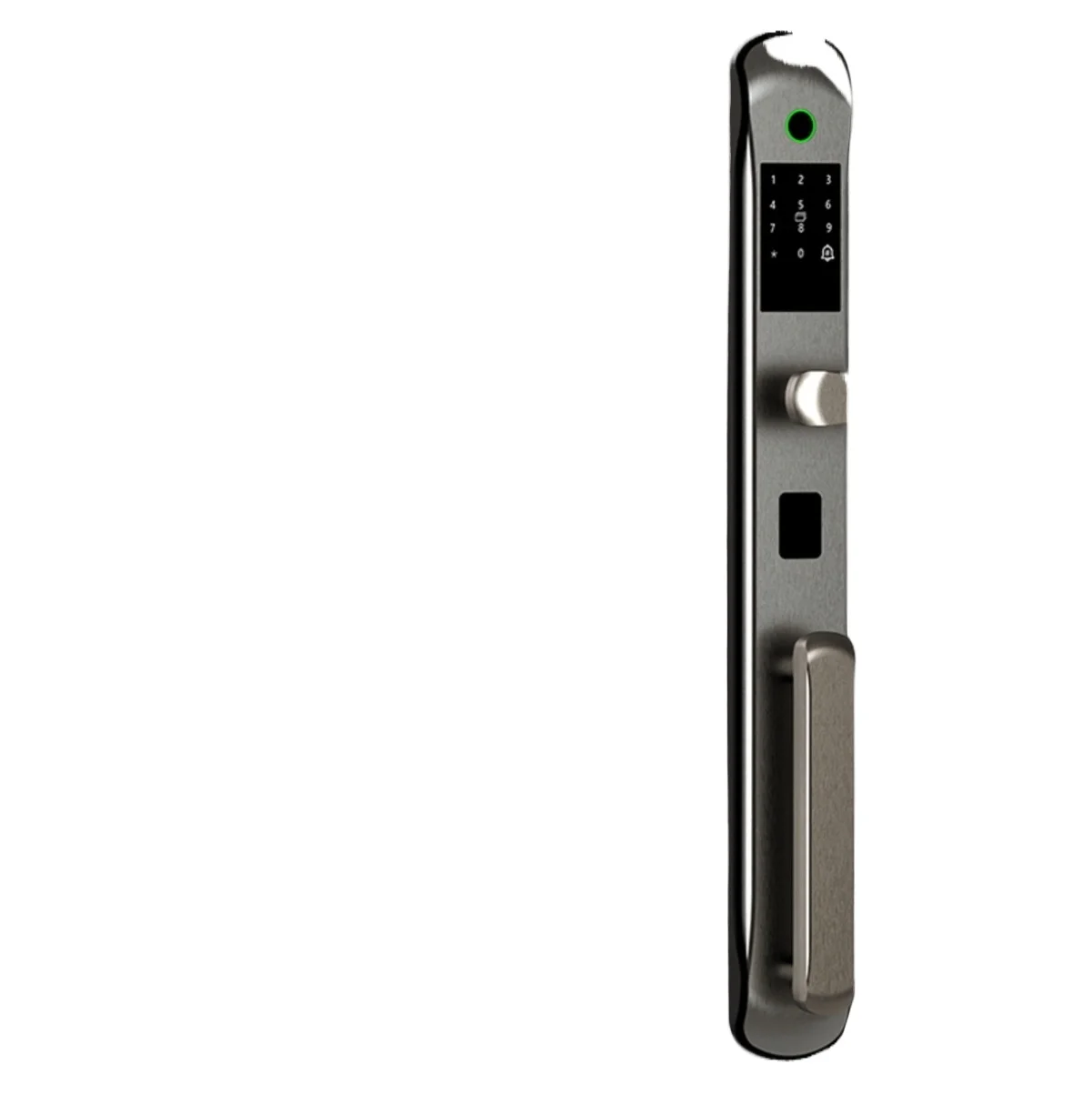 Fingerprint Door Lock for Villa Double Door Zinc Alloy Handle Anti-theft Password Lock with Extended Stainless Steel Panel