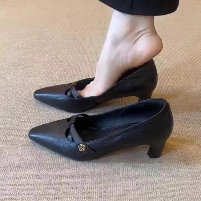 2026 All-Season Women's Crossover Strap Pointed Toe Flats - Chunky Heel Shallow-Cut Elegant Heels,  Versatile Commuter Shoes view 2