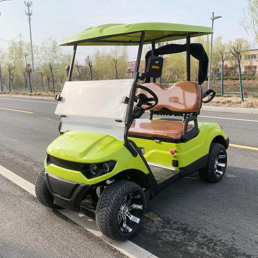 Sospensione anteriore indipendente il carrello da Golf a 2 posti elettrico con cinghie per sacca da Golf e cestino e secchio di sabbia carrello da Golf elettrico