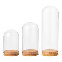 Glass Display Cloche Dome Tabletop Centerpiece Clear Bottles Container Glass Dome Display for Office Desktop Wedding Decorative