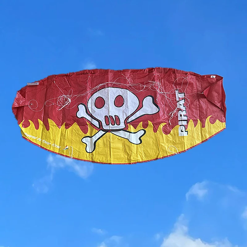 New beginner dual Line Stunt power Kite beach kite Parafoil kite surf fly outdoor fun sports kites dragon dance drachen cometas