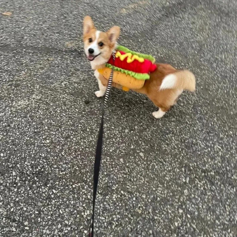 Hamburger Dog Costumes Hot Dog Shaped Dachshund Sausage Adjustable Clothes Funny Pet Clothes Cat Dog Dressing Up Supplies