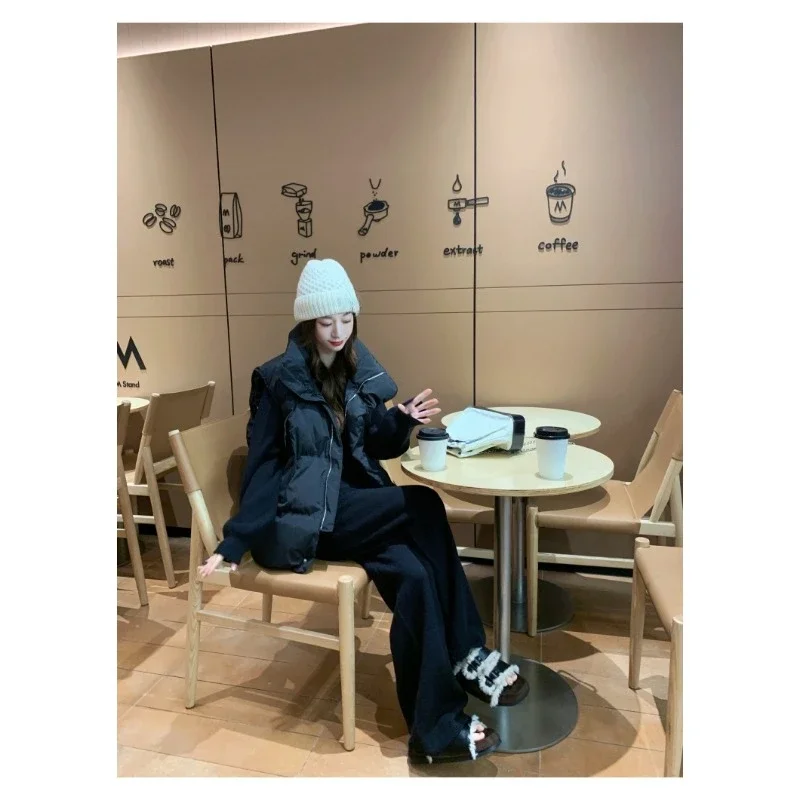 Autumn and Winter New Women's Loose Outer Vest Fashionable Internet Famous Down Cotton Vest Fashionable Casual Cotton Vest