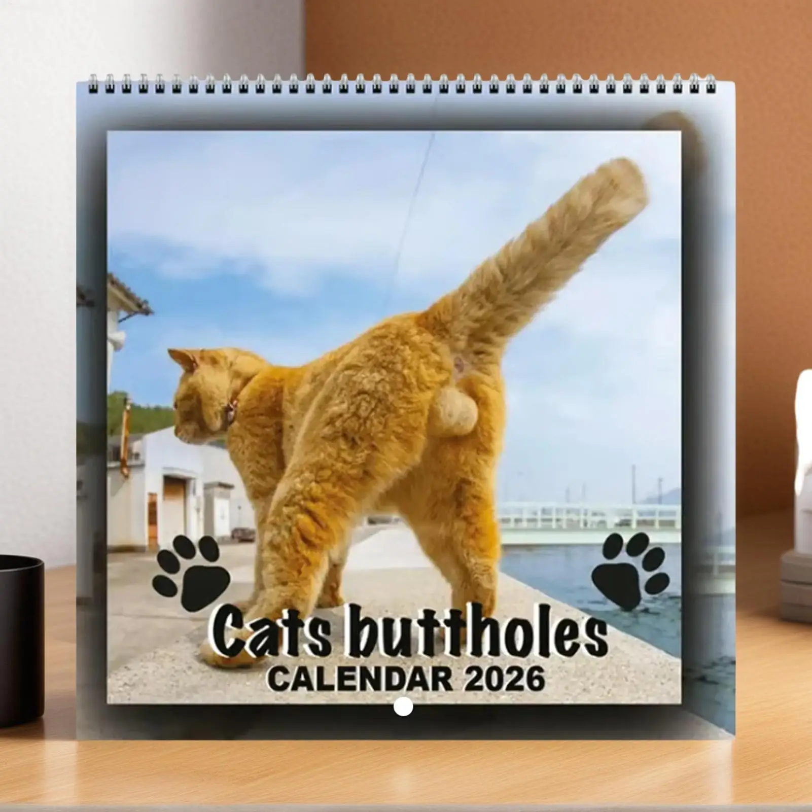 2026 Wall Calendar 12 Month Funny Cats Calendar 2026 Monthly Planner Organizer Scheduling Tool for Desk Bedroom Desktop Fridge