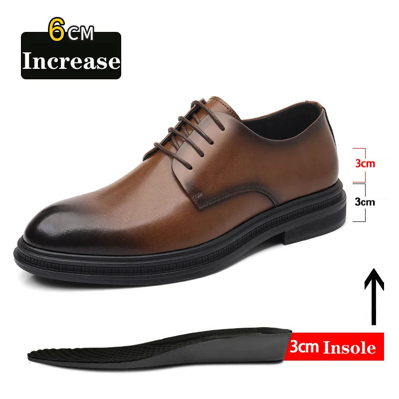 Brown 6CM