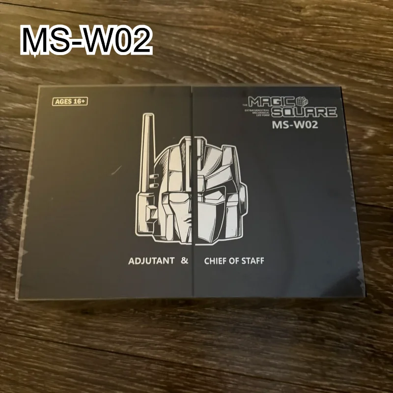 

В наличии MS MS-W02 MSW02 MSB61 MSB62 Набор «Адъютант, начальник штаба» 1/12, коллекционный подарок для мальчиков