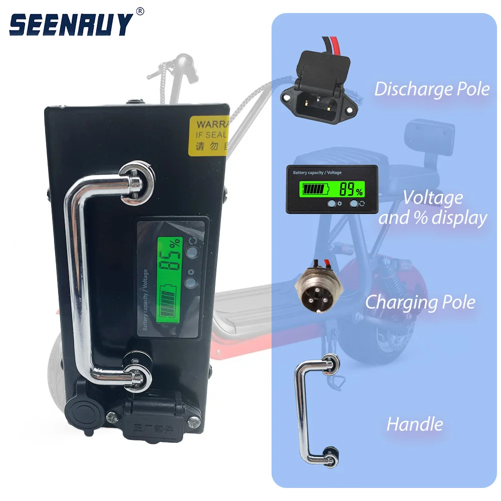 SEENRUY 48V 20Ah Lifepo4 Lithium Battery BMS 16S For 1000W Electric Citycoco With 3A Charger