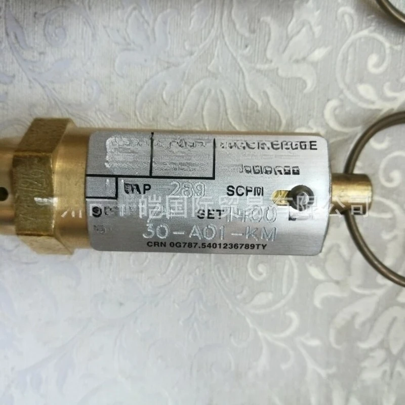 (Applicable to Kunkle brand 30-A01-KM model) Original safety valve pressure relief valve