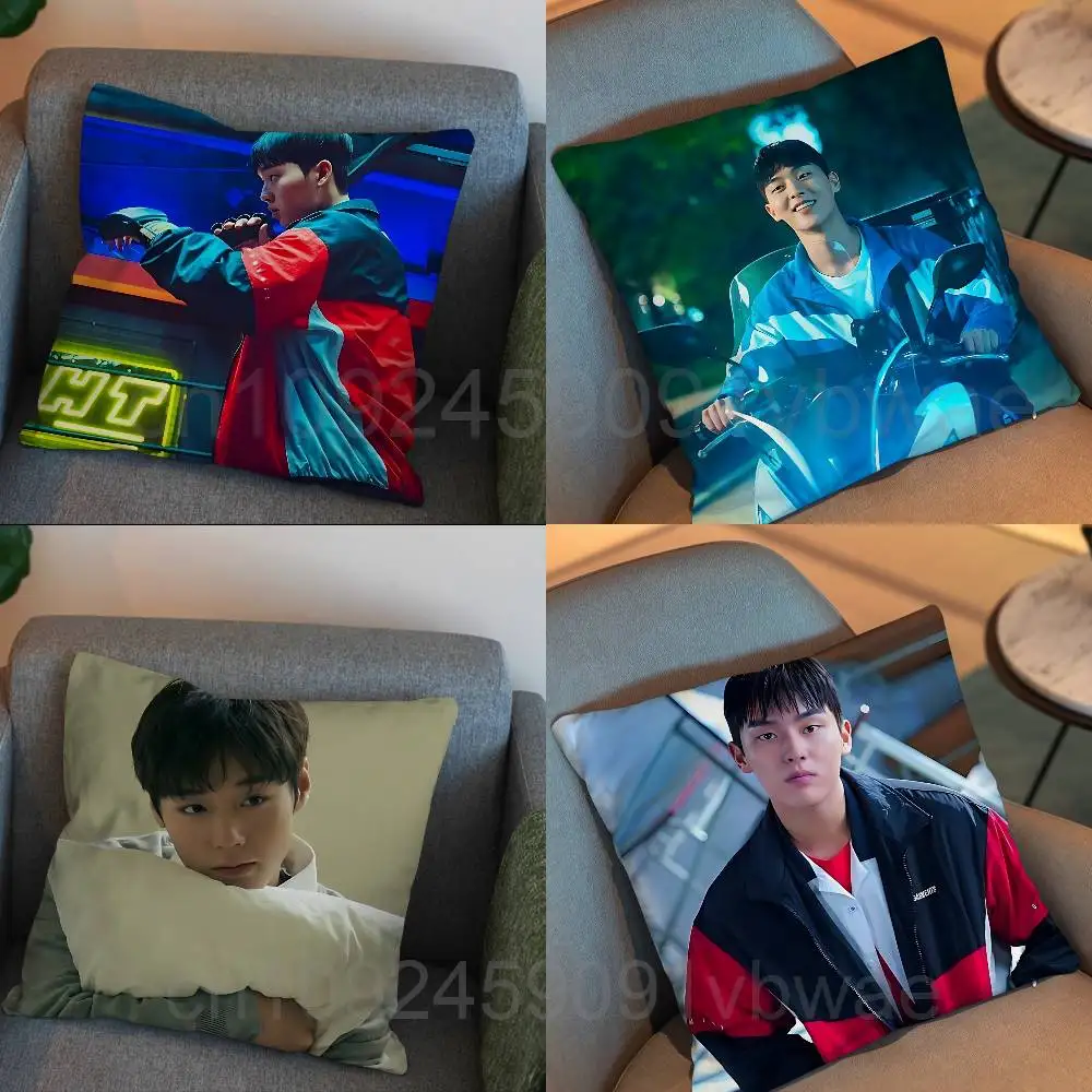 

Park Jihoon Weak Hero Class Choi Hyun Wook Pillow Case Sofa Living Room Bedroom Headboard Backrest Cushion Square Cushion Nap